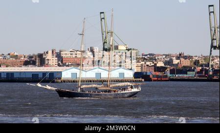 Blaues Segelboot CLIPPER CITY, vorbei an den Red Hook Docks auf der Brooklyn Side, New York, NY, USA Stockfoto