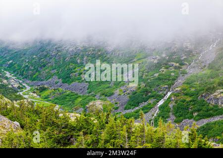 Neblig stimmungsvolles Wetter; entlang des South Klondike Highway; British Columbia; Kanada Stockfoto