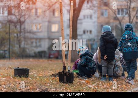 Aufforstung oder Kinder lernen oder helfen, Bäume im Freien zu Pflanzen Stockfoto