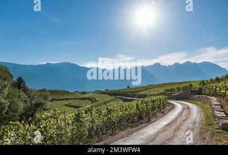 Blick auf die Umgebung von Schloss Aigle in der Schweiz Stockfoto