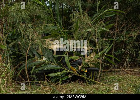 Camp Hansen, Okinawa, Japan. 5.. Dezember 2022. USA Marines mit dem 3.. Landing Support Bataillon, Combat Logistics Regiment 3, 3. Marine Logistics Group, decken ein Joint Light Tactical Vehicle mit Vegetation um ihre Umgebung ab, um während des Trainings Winterarbeitspferd, im Central Training Area, Camp Hansen, Okinawa, Japan, Dezember, zu verborgen. 5, 2022. Das Winterarbeitspferd ist eine jährliche Übung für CLR-3, bei der es darum geht, grundlegende Aufgaben in vorausschauenden, strengen Umgebungen auszuführen. (Kreditbild: © Weston Brown/USA Marines/ZUMA Press Wire Service) Stockfoto