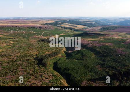 Schönes spätsommerliches Luftdrohnen-Landschaftsbild von Heidekraut in voller Blüte im Peak District Stockfoto