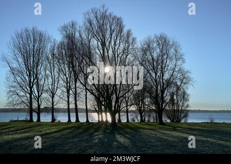 An einem Wintertag fällt Sonnenlicht durch eine Gruppe von Bäumen an einem See Stockfoto