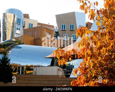 Fall Foliage und Ray und Maria Stata Center auf dem Campus des Massachusetts Institute of Technology (mit), Cambridge, Massachusetts, MA, USA. Stockfoto