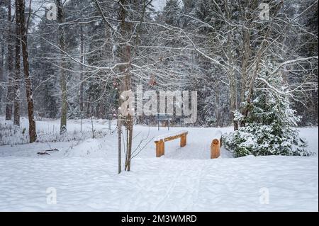 Wanderweg führt zur hölzernen Fußgängerbrücke über den Bach. Schneesturm im Winter. Stockfoto