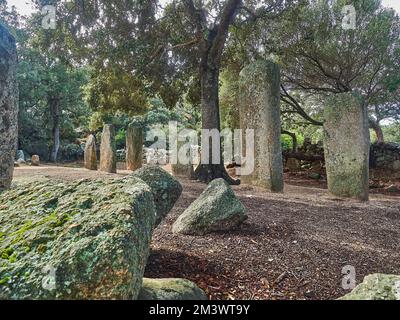 09 26 2017: Menhir Alignment von Stantari ist eine archäologische Stätte auf der Insel Korsika, Frankreich Stockfoto