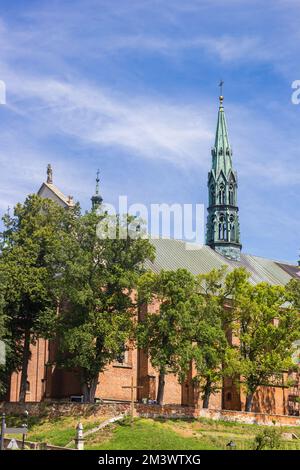 Historische Kathedrale im Zentrum von Sandomierz, Polen Stockfoto