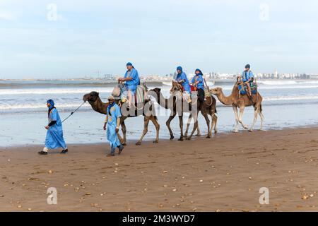 Touristen reiten auf Kamelen am Strand in blauen Beduinen-Bademänteln, Essaouira, Marokko, Nordafrika Stockfoto