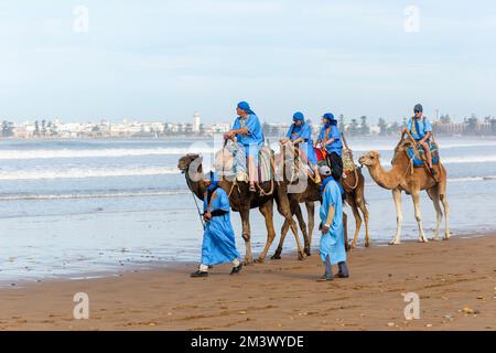 Touristen reiten auf Kamelen am Strand in blauen Beduinen-Bademänteln, Essaouira, Marokko, Nordafrika Stockfoto