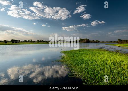 Das berühmte Gelbe Wasser im Kakadu-Nationalpark. Stockfoto