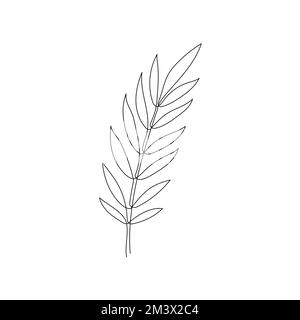 Leinenbucht Lorbeerblatt Ast Art. Ein dekorativer Lorbeerblatt-Anzug mit durchgehender Linienzeichnung. Bearbeitbares einzelnes Verzweigungselement für Kontur. Darstellung isolierter Vektoren Stock Vektor