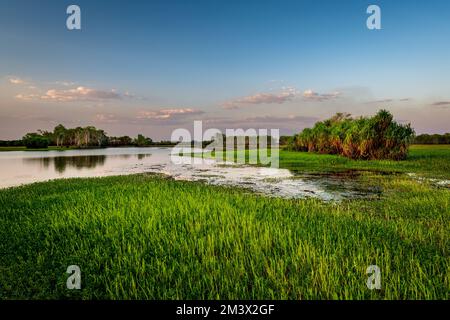 Das berühmte Gelbe Wasser im Kakadu-Nationalpark. Stockfoto