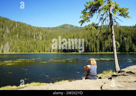 Eine weiße Frau, die am wunderschönen See Großer Arbersee im Bayerischen Wald sitzt. Oberpfalz, Bayern, Deutschland. Stockfoto