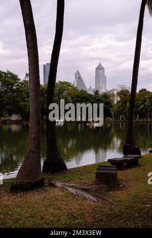 Lumphini Park in Bangkok, Thailand mit künstlichem See und Wolkenkratzern im Hintergrund Stockfoto