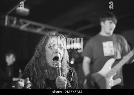 Marmozets treten an der Börse auf, Bristol. 6. Mai 2014 Stockfoto