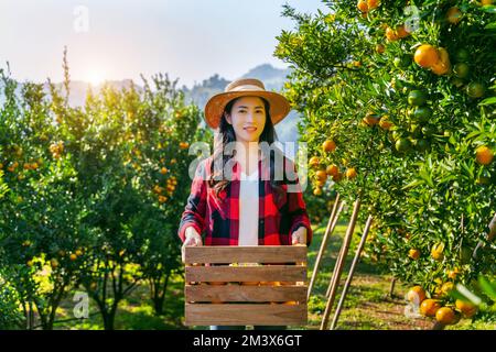 Eine glückliche Farmerin trägt einen Holzkorb mit reifer Bio-Orange. Stockfoto