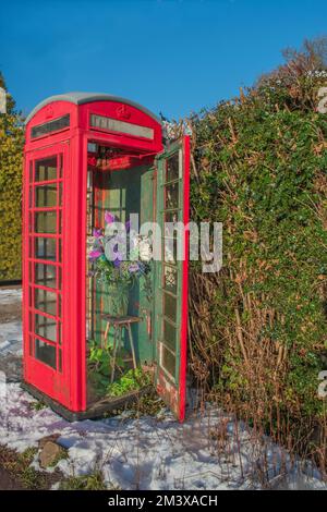 Blumen wurden in eine unbenutzte rote britische Telefonzelle auf einer Landstraße gelegt Stockfoto