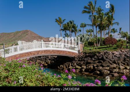 Wunderschöner Landschaftsblick auf eine hölzerne Brücke über die Kanäle und frische Vegetation und Palmen in Anfi Del Mar auf Gran Canaria Stockfoto