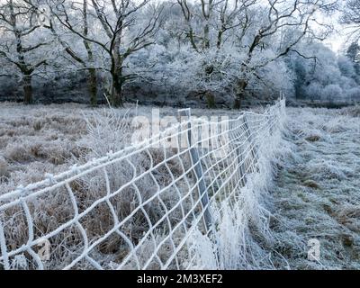 Ein schwerer Hoar Frost auf einem Zaun im Langdale Valley in Clappersgate, Lake District, Großbritannien. Stockfoto