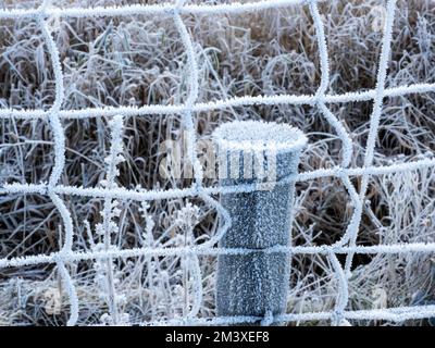 Ein schwerer Hoar Frost auf einem Zaun im Langdale Valley in Clappersgate, Lake District, Großbritannien. Stockfoto