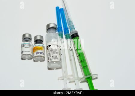 Kairo, Ägypten, Dezember 12 2022: Diphtherie- und Tetanus-Impfstoff im-Injektion, Toxoid DT und gereinigtes Polysaccharid der Neisseria-Meningitides-Serogruppe Stockfoto