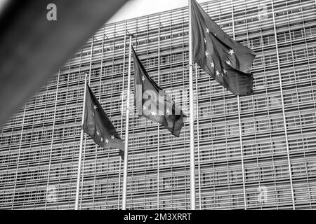 Mehrere offizielle europäische Flaggen mit den blauen und gelben Sternen sind entlang des Berlaymont-Gebäudes gehisst | plusieurs drapeaux officiels europeens Stockfoto