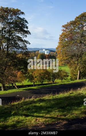 Stadtpark in Glasgow, Schottland Stockfoto