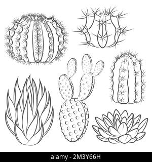Schwarzweiße Illustrationen mit Kaktus und Sukkulent. Isolierte Vektorobjekte auf weißem Hintergrund. Stock Vektor
