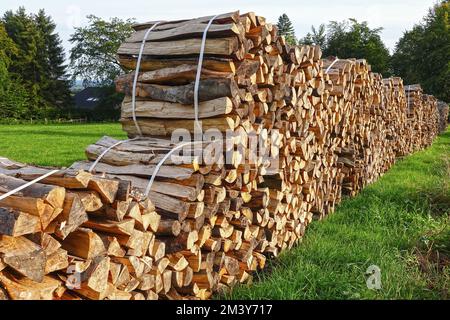 Brennholzbündel auf einer grünen Wiese Stockfoto