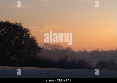 Blick auf den Colchester Jumbo Wasserturm aus der Ferne. Die Silhouetten der Gebäude in warmer Morgensonne. Aufgehende Sonne über Colchester, Essex. Stockfoto