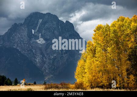 WY05206-00....WYOMING - Mount Moran und Espen Bäume im Grand Teton Nationalpark. Stockfoto