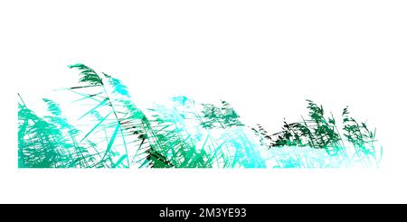 Echte grüne Grassilhouette. Schilf-Silhouetten-Tracing. Vektordarstellung Stock Vektor