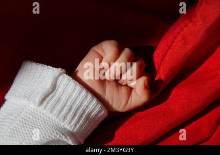 Hand eines 4 Wochen alten schlafenden Babys auf rotem Boden. Dresden, Deutschland Stockfoto