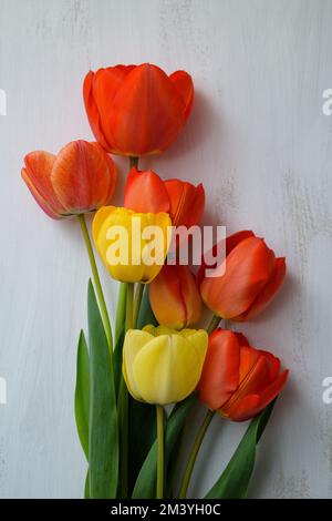 A vertical view of beautiful tulips Stockfoto
