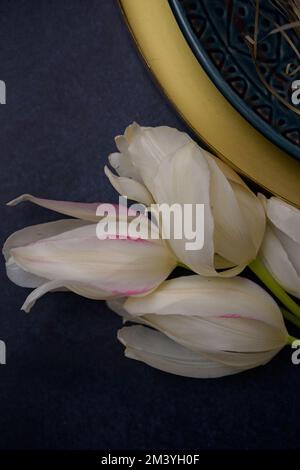 Eine Nahaufnahme der schönen weißen Tulpen Stockfoto
