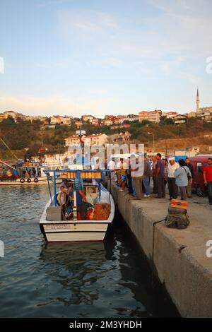 Istanbul, Türkei. 15. September 2012 : die Fischer, die mit dem Sonnenaufgang an der Küste von der Jagd zurückkehren, bringen die Fische an Land, die sie gefangen haben Stockfoto