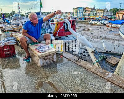 Männer füttern einen riesigen Kran, Belem, Brasilien Stockfoto