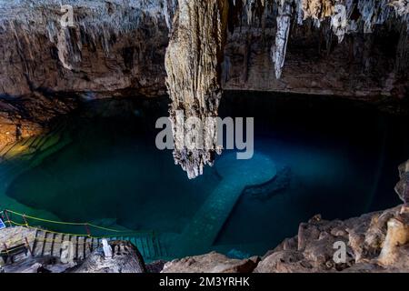 Cenote Suytun, Valladolid, Yucatan, Mexiko Stockfoto