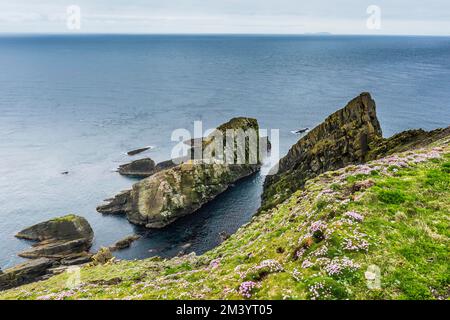 Die steilen Klippen von Sumburgh Head, Shetland Islands, Vereinigtes Königreich Stockfoto