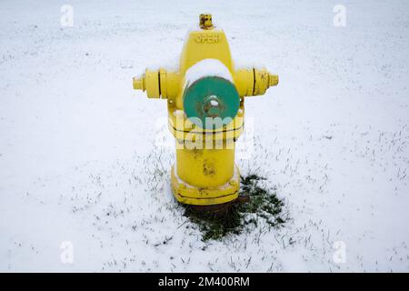 Chicago, USA. 16. Dezember 2022 Ein schneebedeckter Feuerhydrant in den Vororten von Chicago. Kredit: Stephen Chung / Alamy Stockfoto