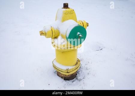 Chicago, USA. 16. Dezember 2022 Ein schneebedeckter Feuerhydrant in den Vororten von Chicago. Kredit: Stephen Chung / Alamy Stockfoto