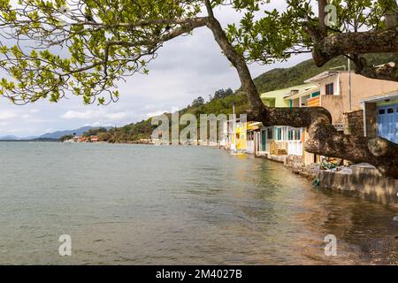 Häuser und Strand in Rebeirao da Ilha, Florianopolis, Santa Catarina, Brasilien Stockfoto