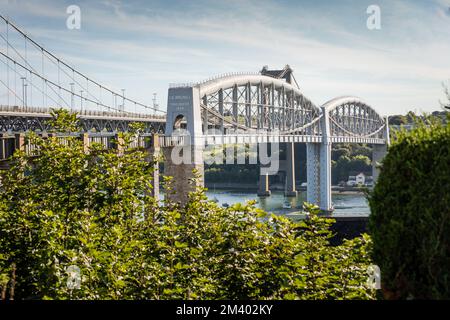 Royal Albert Bridge von Isambard Kingdom Brunel über den Fluss Tamar Besichtigung von Saltash zwischen Devon und Cornwall an einem Sommertag. Stockfoto