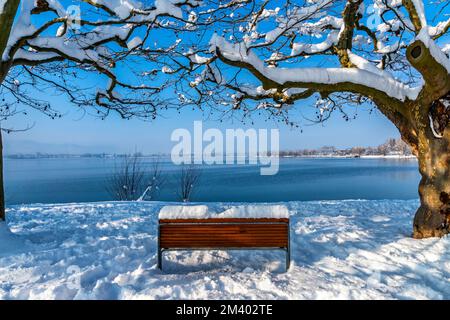 Fantastische verschneite Landschaft am Bodensee mit blauem Himmel Stockfoto