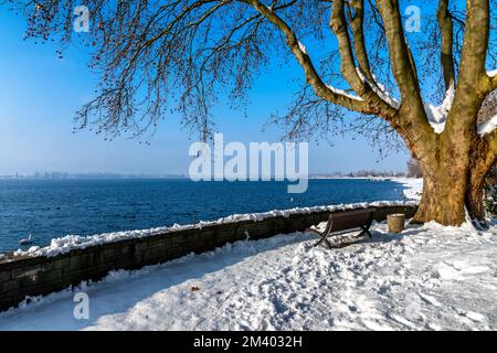 Fantastic snowy landscape on Lake Constance with blue sky Stockfoto