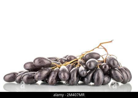 Mehrere Beeren aus schwarzen Trauben, Nahaufnahme, isoliert auf weiß. Stockfoto