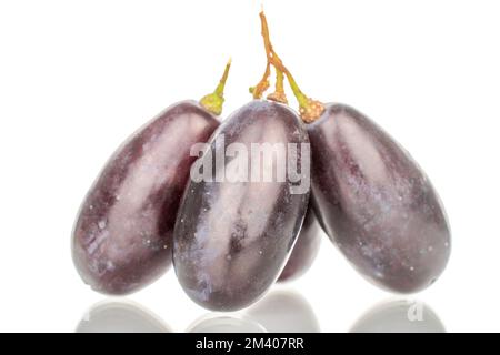 Mehrere Beeren aus schwarzen Trauben, Nahaufnahme, isoliert auf weiß. Stockfoto