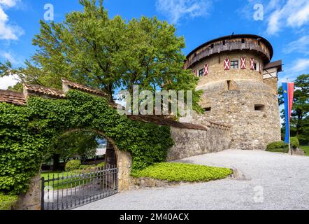 Schloss Vaduz in Liechtenstein, Europa. Eingang der königlichen Vaduz Residenz überwuchert von Efeu. Landschaft der mittelalterlichen Burg, Wahrzeichen von Vaduz im Sommer. Th Stockfoto