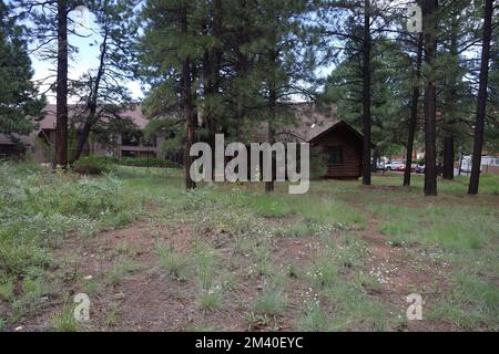 8-30-2022: Flagstaff, Arizona: Riordan Mansion Stockfoto