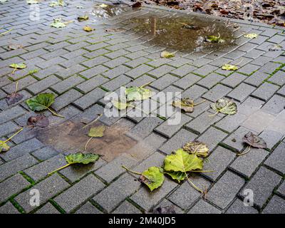 Makro-gebrochene Betonbahn, Backsteinoberfläche, melancholisches Konzept, hd-Bild Stockfoto